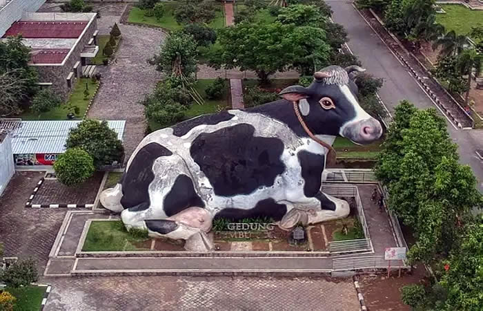 Antar Jemput Bandara Surabaya ke Boyolali Jawa Tengah dan Carter Mobil.