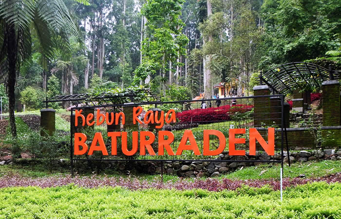 Antar Jemput Bandara Surabaya ke Purwokerto Jawa Tengah dan Carter Mobil.